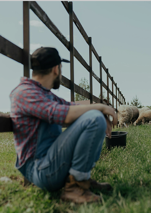 Ihminen nojaa aitaan.